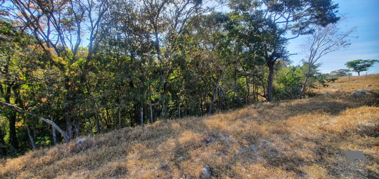 Imagem Terreno à Venda, 25.000 m² em Campo Alegre - Esmeraldas Imagem Terreno à Venda, 25.000 m² em Campo Alegre - Esmeraldas