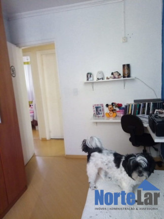 Imagem Apartamento com 3 Quartos à Venda, 63 m² em Vila Nova Cachoeirinha - São Paulo