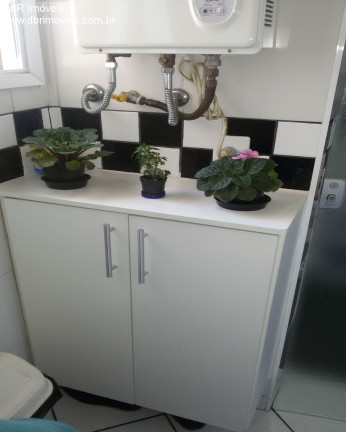 Imagem Apartamento com 3 Quartos à Venda, 64 m² em Vila Prudente - São Paulo Imagem Apartamento com 3 Quartos à Venda, 64 m² em Vila Prudente - São Paulo