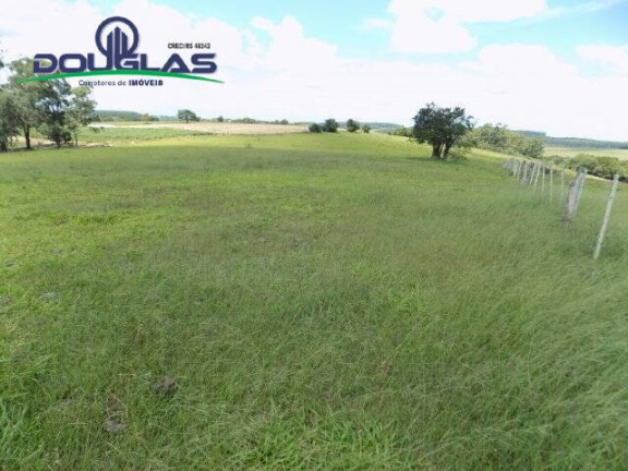 Imagem Chácara com 2 Quartos à Venda, 190.000 m² em Viamão Imagem Chácara com 2 Quartos à Venda, 190.000 m² em Viamão