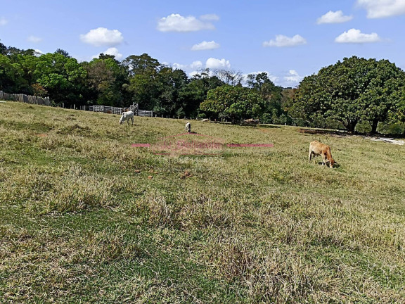 Imagem Chácara com 2 Quartos à Venda, 150 m² em área Rural De Tatuí - Tatuí