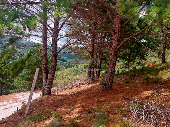 Imagem Terreno à Venda, 1 m² em Atalaia - Campos Do Jordão Imagem Terreno à Venda, 1 m² em Atalaia - Campos Do Jordão