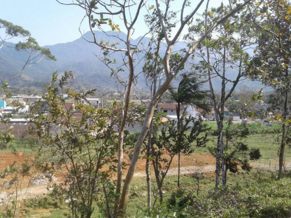 Imagem Terreno em Condomínio à Venda, 360 m² em Sertão Da Quina - Ubatuba Imagem Terreno em Condomínio à Venda, 360 m² em Sertão Da Quina - Ubatuba