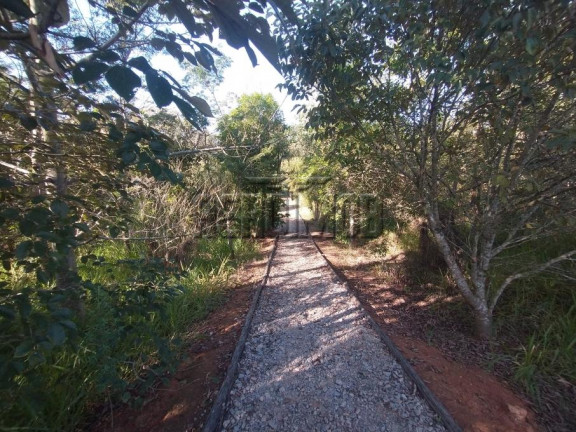 Imagem Terreno à Venda, 440 m² em Centro - Tuiuti Imagem Terreno à Venda, 440 m² em Centro - Tuiuti
