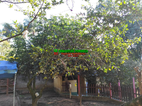 Imagem Chácara com 3 Quartos à Venda, 2.000 m² em Jardim Santa Cecília I - São José Dos Campos Imagem Chácara com 3 Quartos à Venda, 2.000 m² em Jardim Santa Cecília I - São José Dos Campos