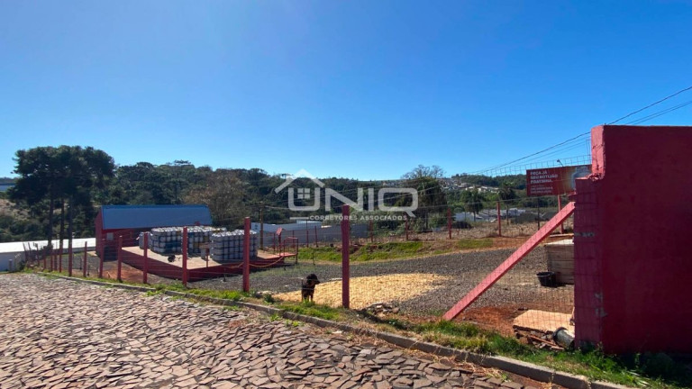 Imagem Ponto Comercial à Venda, 400 m² em São Francisco - Pato Branco Imagem Ponto Comercial à Venda, 400 m² em São Francisco - Pato Branco