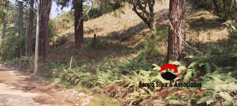 Imagem Terreno à Venda, 1 m² em Alto Do Boa Vista - Campos Do Jordão Imagem Terreno à Venda, 1 m² em Alto Do Boa Vista - Campos Do Jordão