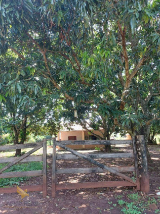 Imagem Chácara com 2 Quartos à Venda, 120 m² em área Rural  - Terenos
