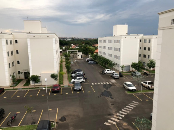 Imagem Apartamento com 2 Quartos à Venda ou Locação, 51 m² em Jardim São Francisco - Piracicaba Imagem Apartamento com 2 Quartos à Venda ou Locação, 51 m² em Jardim São Francisco - Piracicaba