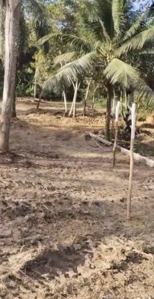Imagem Terreno em Condomínio à Venda, 700 m² em Aldeia Dos Camarás - Camaragibe Imagem Terreno em Condomínio à Venda, 700 m² em Aldeia Dos Camarás - Camaragibe