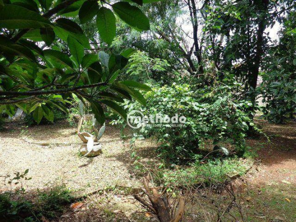 Terreno à Venda, 1.000 m² em Centro - Campinas