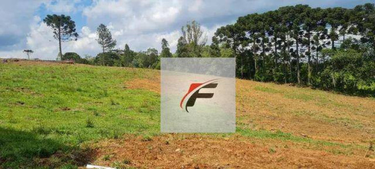 Imagem Chácara com 4 Quartos à Venda, 145.200 m² em Palmitalzinho - Quatro Barras