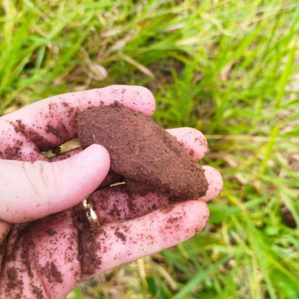Imagem Fazenda à Venda,  em Dom Aquino