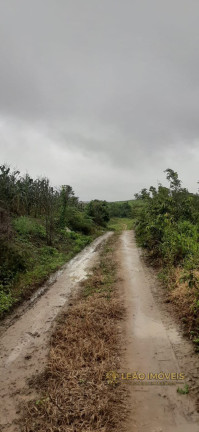 Imagem Imóvel à Venda, em Sairé - Sairé Imagem Imóvel à Venda, em Sairé - Sairé