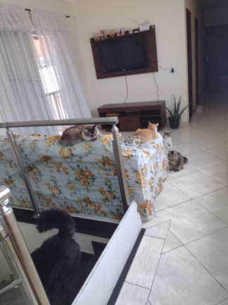Imagem Sobrado com 4 Quartos à Venda, 85 m² em Cidade Boa Vista - Suzano Imagem Sobrado com 4 Quartos à Venda, 85 m² em Cidade Boa Vista - Suzano