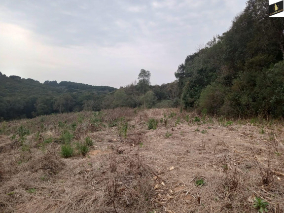 Imagem Imóvel à Venda, 96.800 m² em Colonia Marcelino - São José Dos Pinhais