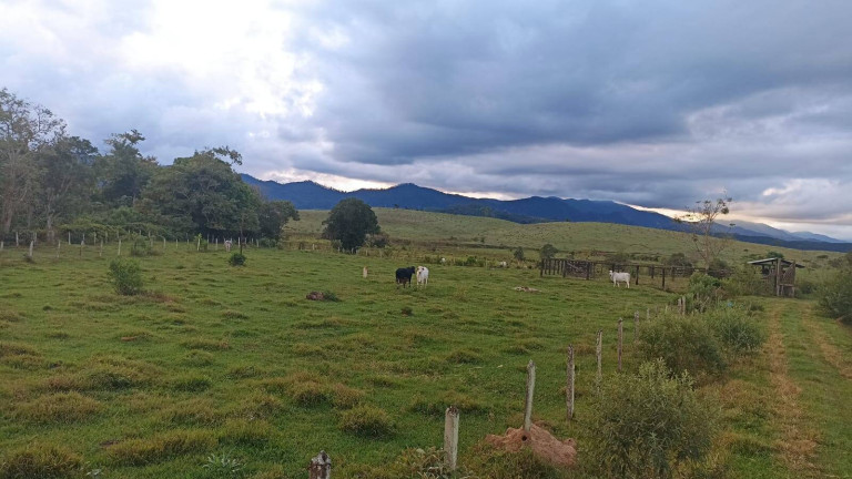 Imagem Fazenda à Venda, 100 m² em Estiva - Taubaté