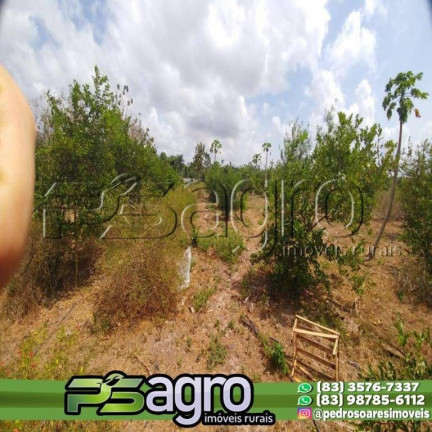 Imagem Fazenda à Venda, 45.000.000 m² em Alto Do Pinho - São Luís Imagem Fazenda à Venda, 45.000.000 m² em Alto Do Pinho - São Luís