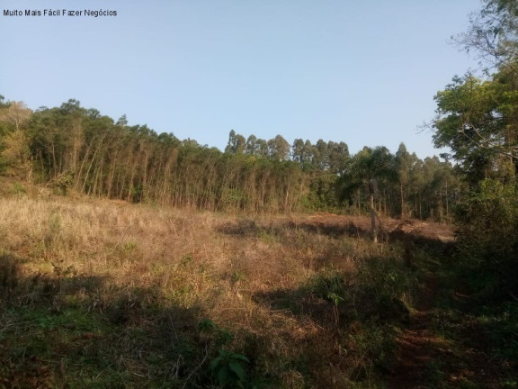 Imagem Terreno à Venda, 20 m² em Linha Temerária - Nova Petrópolis Imagem Terreno à Venda, 20 m² em Linha Temerária - Nova Petrópolis