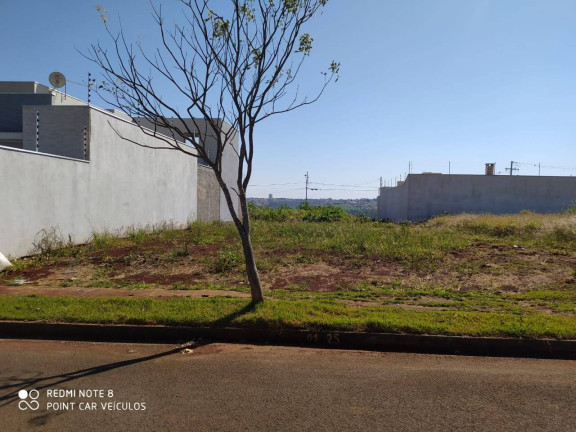 Terreno à Venda, 297 m² em Jardim Paraiso - Arapongas