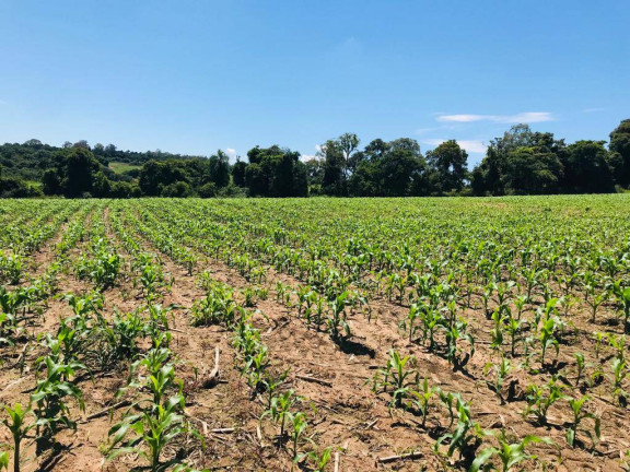 Imagem Terreno à Venda, 253.072 m² em Zona Rural - Araçoiaba Da Serra Imagem Terreno à Venda, 253.072 m² em Zona Rural - Araçoiaba Da Serra