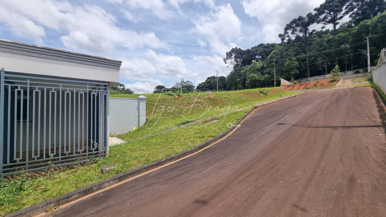Imagem Terreno à Venda, 751 m² em Ferraria - Campo Largo Imagem Terreno à Venda, 751 m² em Ferraria - Campo Largo