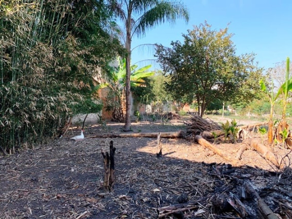 Imagem Terreno à Venda, 1.860 m² em Crispim - Pindamonhangaba
