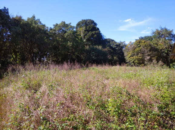 Imagem Terreno à Venda, 39 m² em Volta Redonda - Araquari Imagem Terreno à Venda, 39 m² em Volta Redonda - Araquari