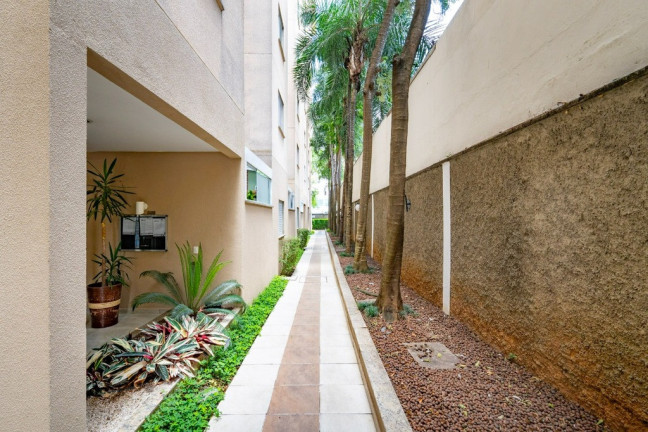 Imagem Apartamento com 2 Quartos à Venda, 50 m² em Morumbi - São Paulo