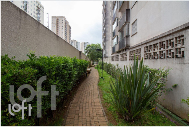 Imagem Apartamento com 3 Quartos à Venda, 67 m² em Jardim Celeste - São Paulo Imagem Apartamento com 3 Quartos à Venda, 67 m² em Jardim Celeste - São Paulo