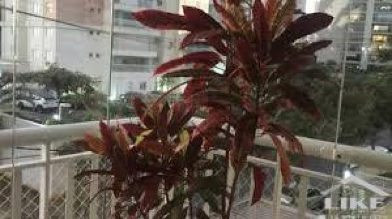 Imagem Imóvel com 3 Quartos à Venda, 20 m² em São José Dos Campos