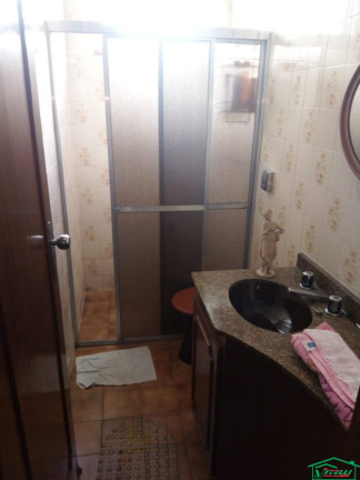 Imagem Casa com 3 Quartos à Venda, 270 m² em Vila Graciosa - São Paulo