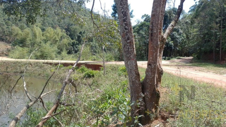 Imagem Imóvel com 1 Quarto à Venda, 20.000 m² em Marechal Floriano - Marechal Floriano