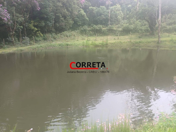 Imagem Chácara com 3 Quartos à Venda, 8 m² em Vargem Do Salto - Ibiúna
