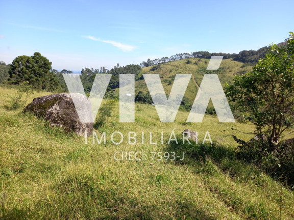 Imagem Fazenda à Venda, 338.800 m² em Rural - Pedra Bela Imagem Fazenda à Venda, 338.800 m² em Rural - Pedra Bela