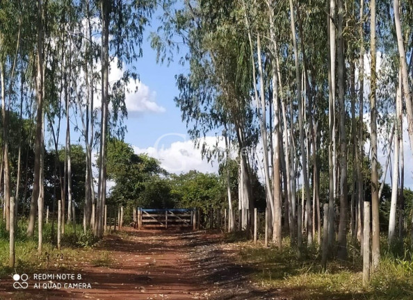 Imagem Imóvel com 6 Quartos à Venda, em Terenos - Terenos Imagem Imóvel com 6 Quartos à Venda, em Terenos - Terenos