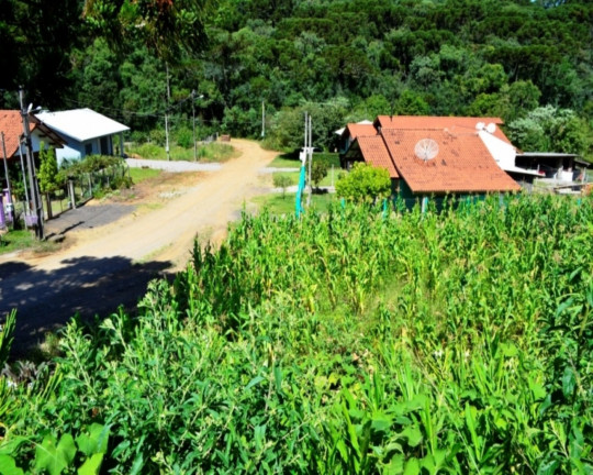 Imagem Imóvel à Venda, 2.000 m² em Linha Imperial - Nova Petrópolis