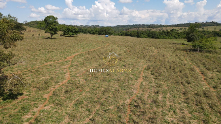 Imagem Imóvel com 3 Quartos à Venda, em Zona Rural - Morro Agudo De Goiás Imagem Imóvel com 3 Quartos à Venda, em Zona Rural - Morro Agudo De Goiás