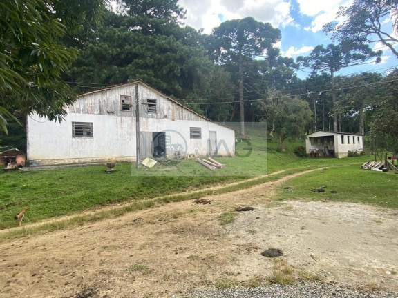 Imagem Imóvel com 6 Quartos à Venda, 3.000 m² em Distrito Industrial - Campina Grande Do Sul Imagem Imóvel com 6 Quartos à Venda, 3.000 m² em Distrito Industrial - Campina Grande Do Sul