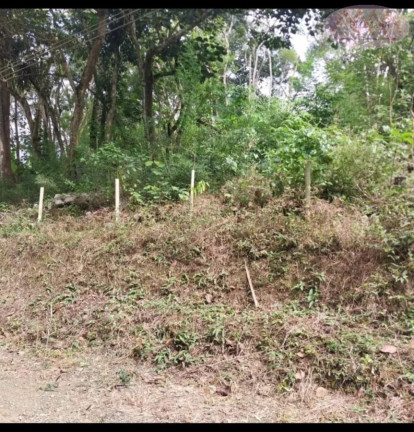 Imagem Terreno à Venda, 1.000 m² em Jardim Dos Eucaliptos - Suzano Imagem Terreno à Venda, 1.000 m² em Jardim Dos Eucaliptos - Suzano