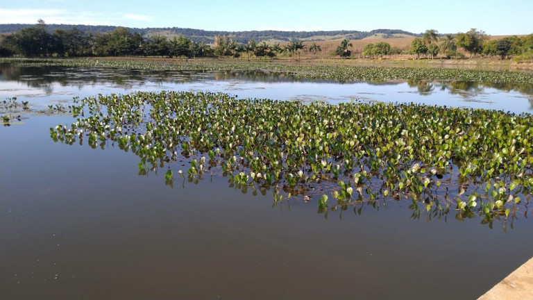 Imagem Fazenda à Venda, 54 m² em Itai - Itaí Imagem Fazenda à Venda, 54 m² em Itai - Itaí