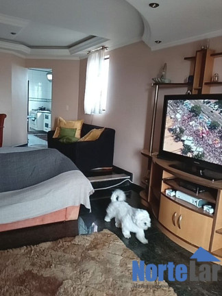 Imagem Apartamento com 3 Quartos à Venda, 116 m² em Jardim Primavera (zona Norte) - São Paulo Imagem Apartamento com 3 Quartos à Venda, 116 m² em Jardim Primavera (zona Norte) - São Paulo