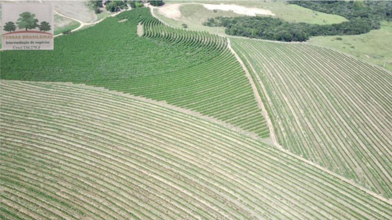 Imagem Fazenda à Venda, 2.000 m² em Zona Rural - Perdizes Imagem Fazenda à Venda, 2.000 m² em Zona Rural - Perdizes