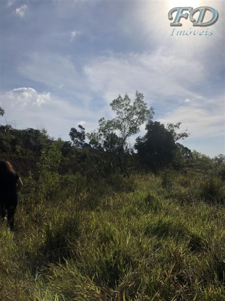 Imagem Terreno à Venda, 61.861 m² em Terra Preta (terra Preta) - Mairiporã Imagem Terreno à Venda, 61.861 m² em Terra Preta (terra Preta) - Mairiporã