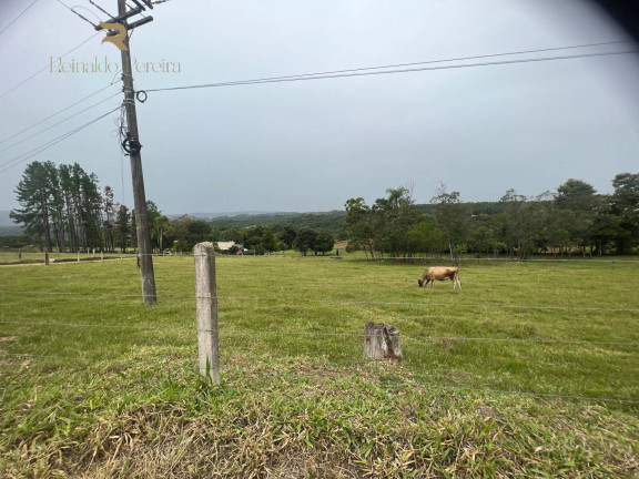Imagem Chácara com 2 Quartos à Venda, 32.000 m² em Fazenda Fialho - Taquara