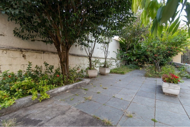 Imagem Apartamento com 3 Quartos à Venda, 65 m² em Vila Mascote - São Paulo
