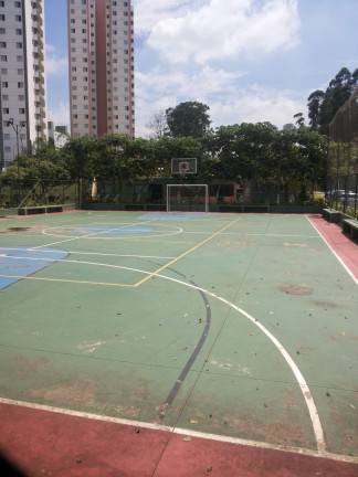 Imagem Apartamento com 3 Quartos à Venda, 64 m² em Butantã - São Paulo Imagem Apartamento com 3 Quartos à Venda, 64 m² em Butantã - São Paulo