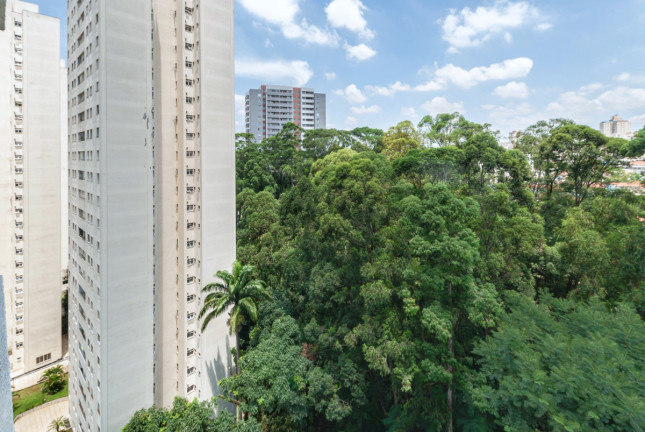 Imagem Apartamento com 3 Quartos à Venda, 81 m² em Vila Amélia - São Paulo Imagem Apartamento com 3 Quartos à Venda, 81 m² em Vila Amélia - São Paulo