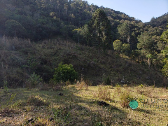 Imagem Imóvel à Venda, em Zona Rural - Alfredo Wagner Imagem Imóvel à Venda, em Zona Rural - Alfredo Wagner