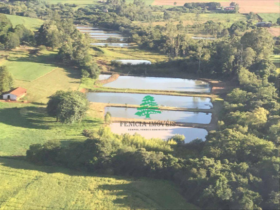 Imagem Chácara à Venda, 27.456 m² em Zona Rural - São Miguel Do Iguaçu Imagem Chácara à Venda, 27.456 m² em Zona Rural - São Miguel Do Iguaçu